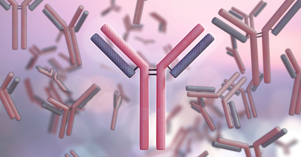 A BiTE idea: engineered antibodies to attack tumors