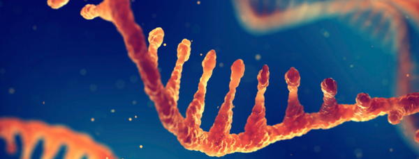 miRNAs aren't famous but they can make or break cancer