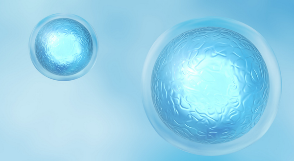 Stem cells choose the “dark side” in cancer