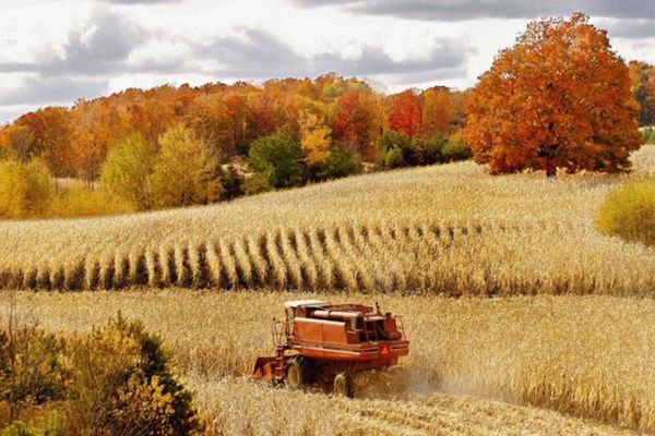 Freeze-thaw cycles: the neglected  contributors to agricultural greenhouse gas emissions