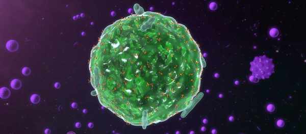 Yet Another Player in our Immune System Who Could Help Destroy Cancer