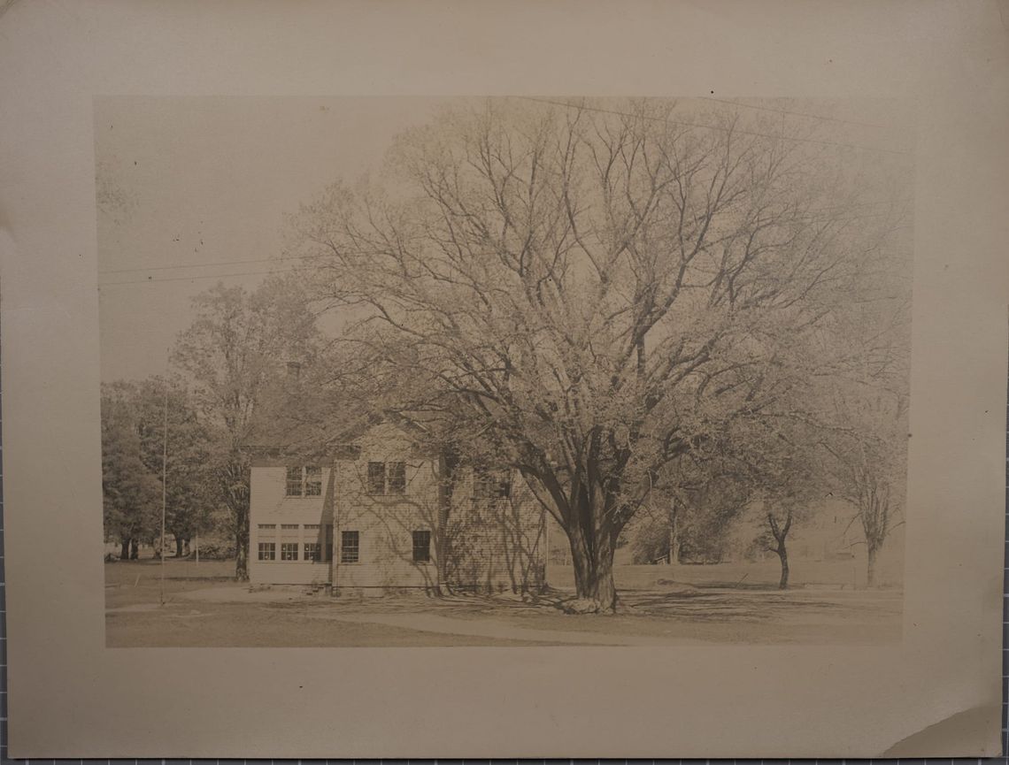 Mill River School