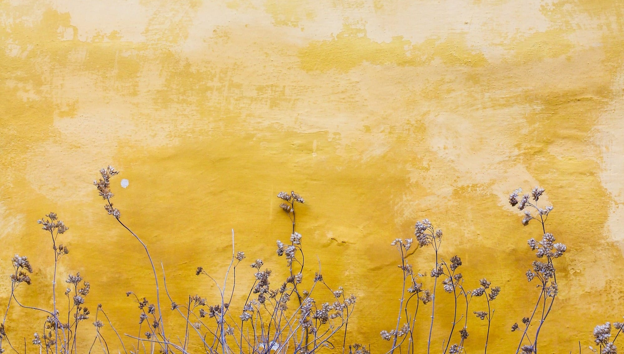 MTM Nature: Nature Journaling