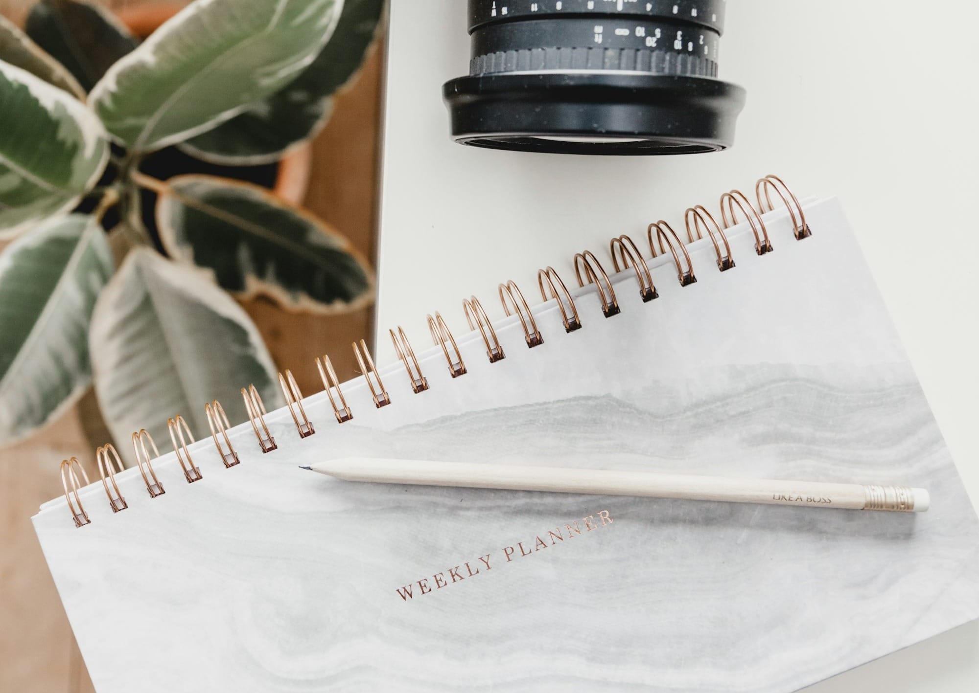 MTM Planning: Topic Web Template