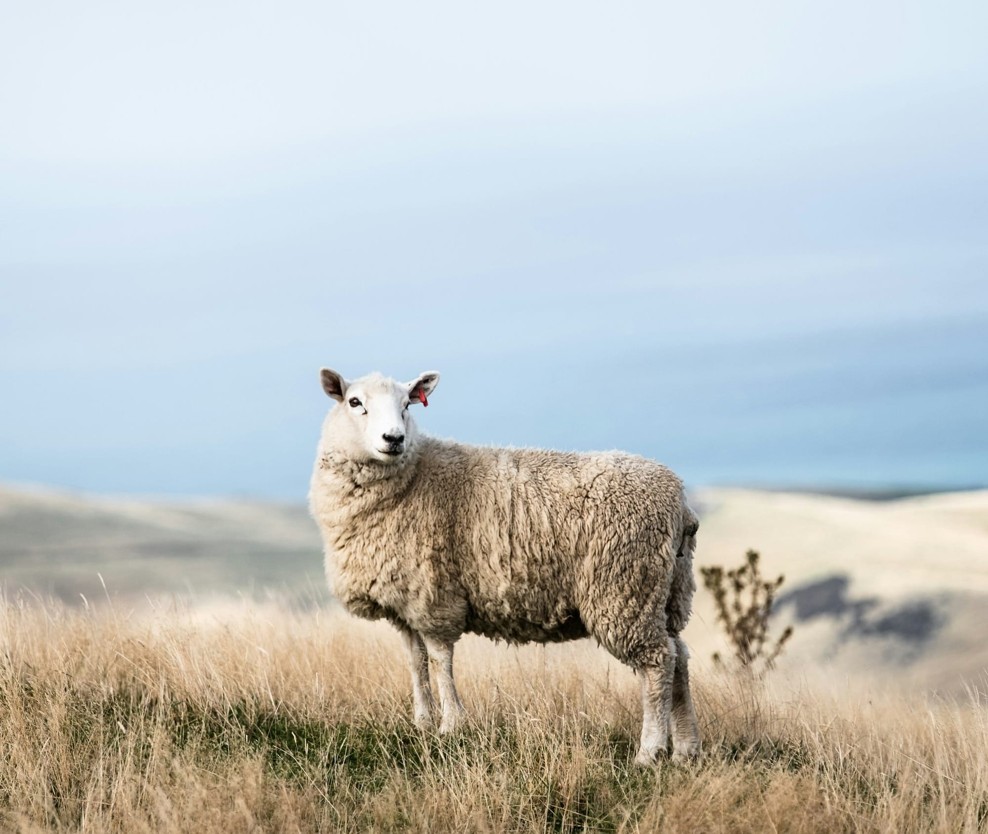 MTM Hajj: Ultimate 10 Day Dhul-Hijjah Activities