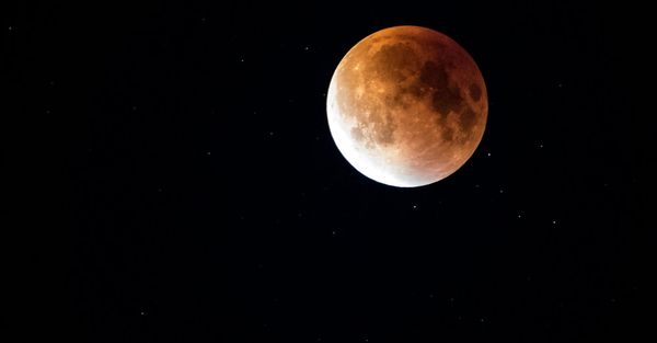 MTM Science: Space (Unit Study)