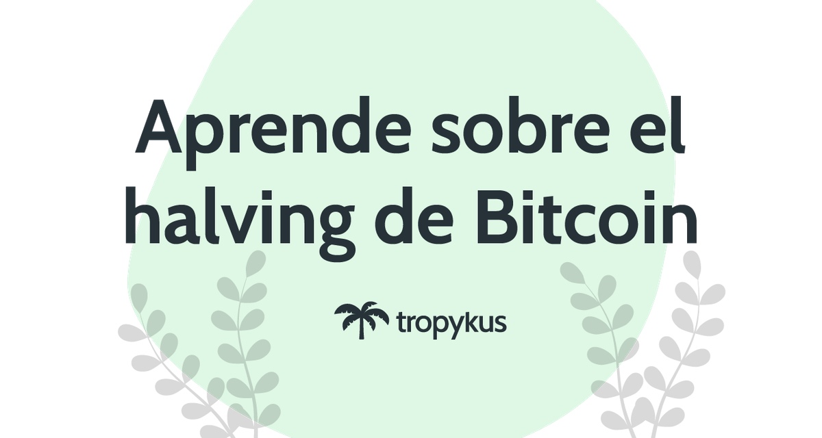 Todo Sobre el Halving de Bitcoin: Impacto, Importancia e Implicaciones