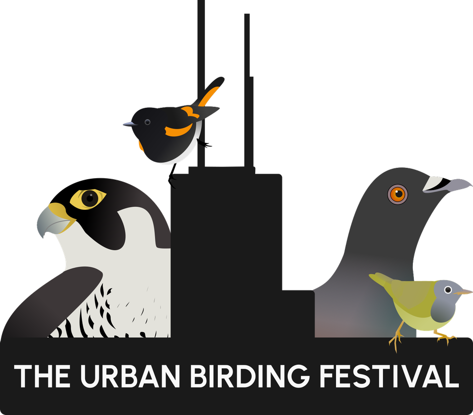 Spring Bird Count and Chicago's Bird Festival