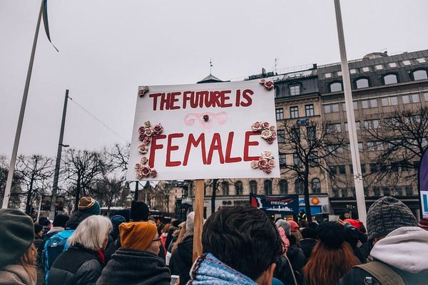 Elite feminism and the reproduction of the social order