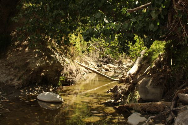 A shaded stream with a steady water flow exiting its mouth. The foreground and background is covered in driftwood, rocks and leaves. 
