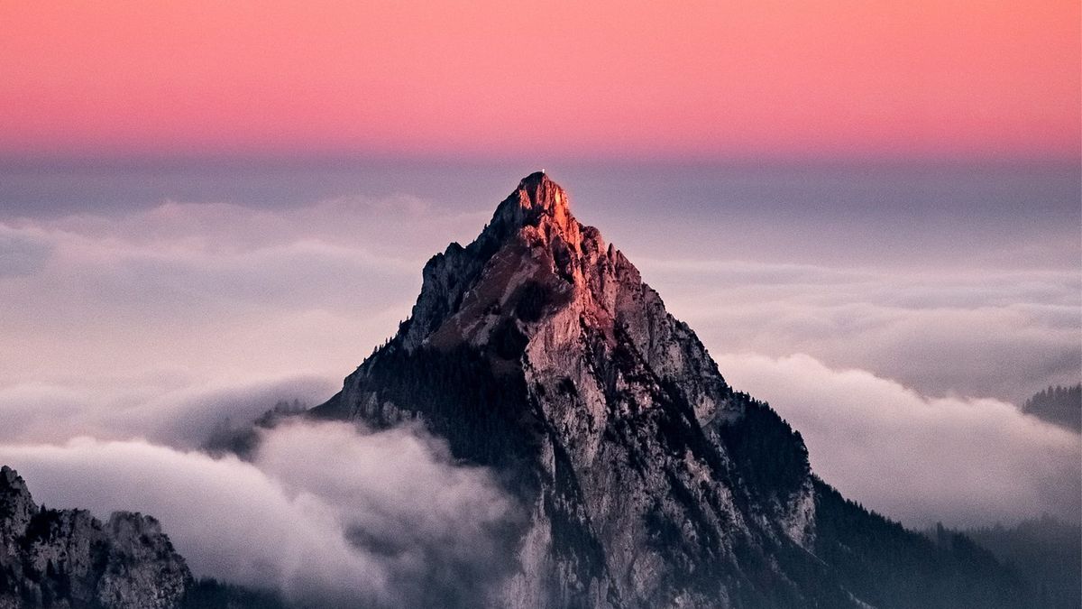 Q3 2025 Market Commentary: Resilience Amid Uncertainty – A Tech-Fueled Rally Charges Forward
