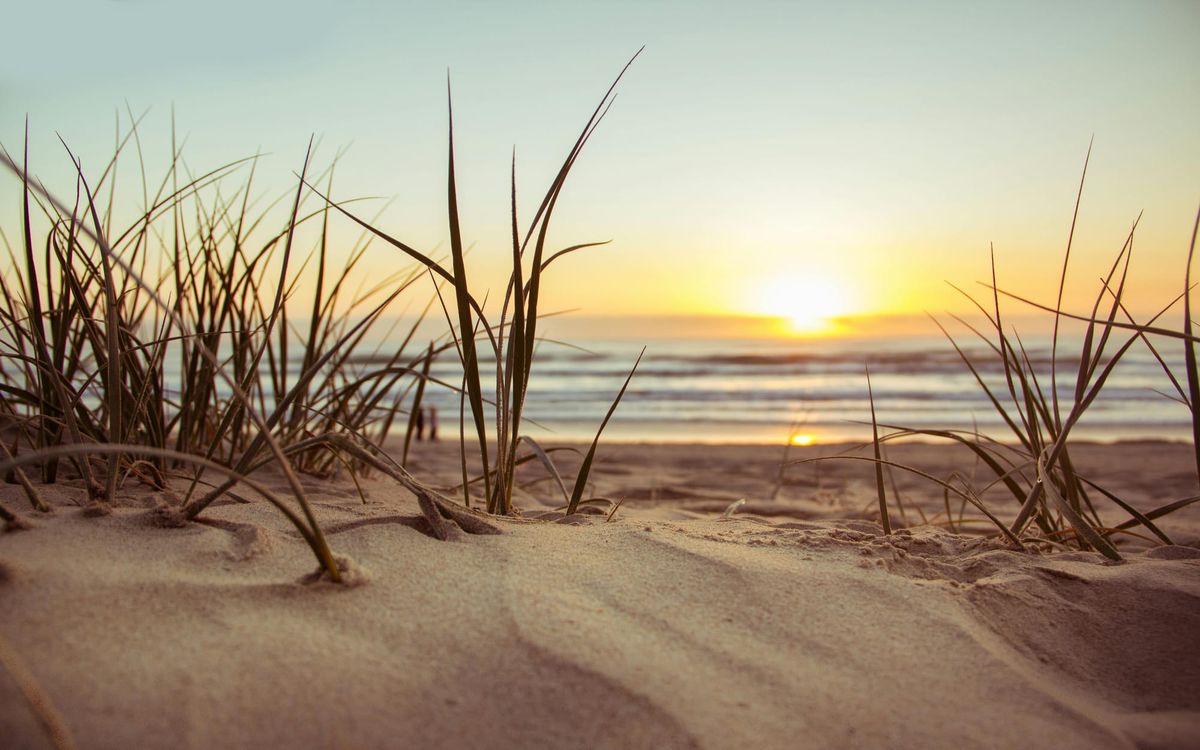 Rolling Over 529 Funds to a Roth IRA