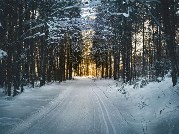Year-End Financial Planning Checklist: Setting the Stage for 2026