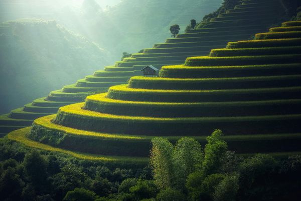 Why the First Years of Retirement Matter Most: Understanding and Reducing Sequence of Returns Risk