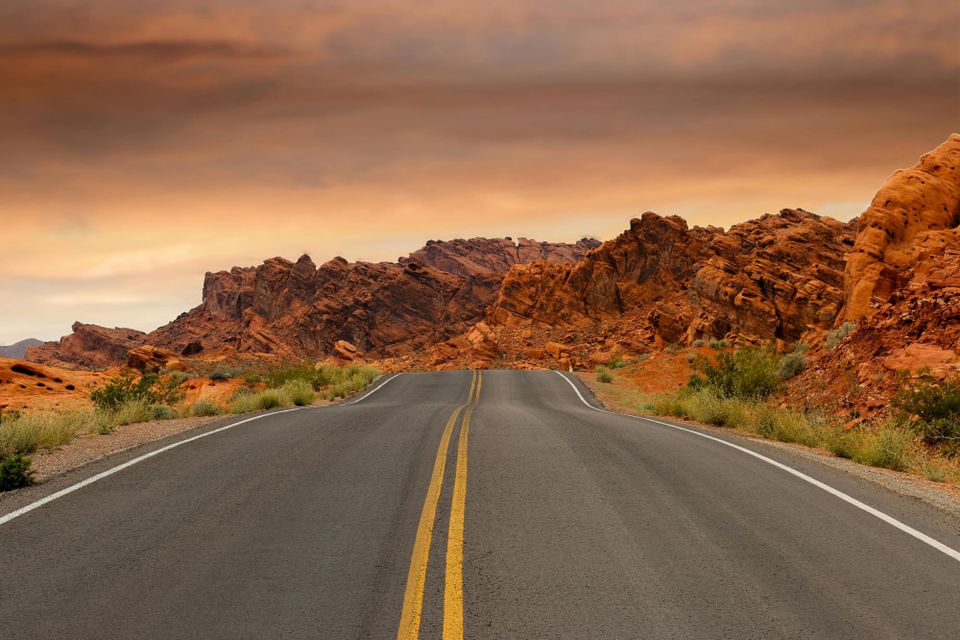 Should You Buy or Lease Your Next Car?