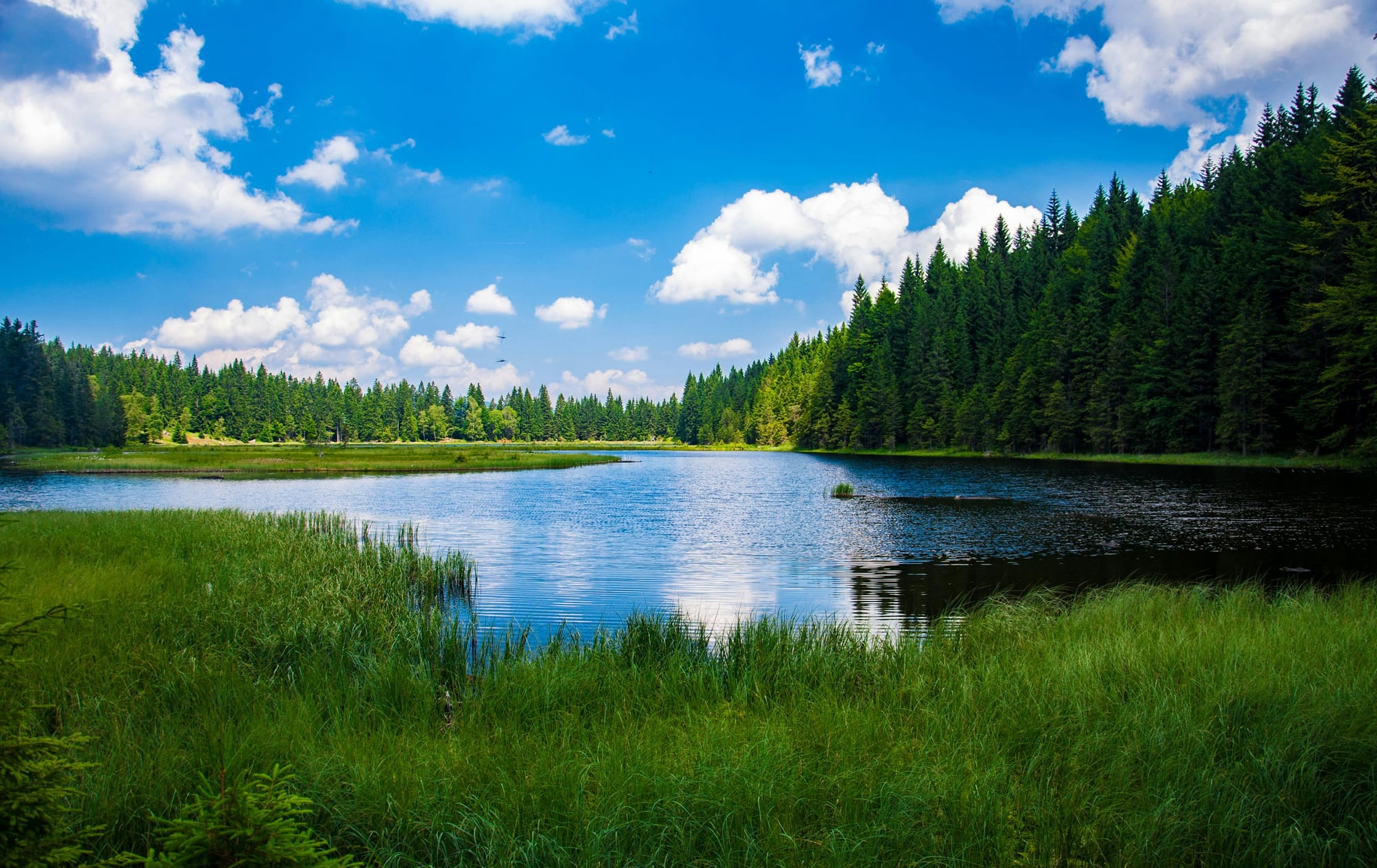 Accessing Retirement Funds Before 59½: Understanding SEPP Rule 72(t)