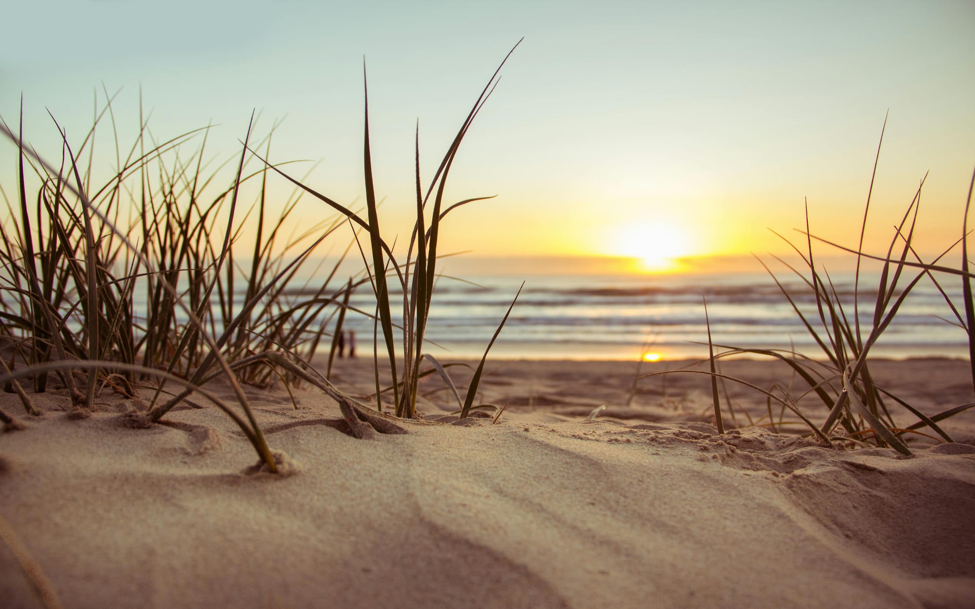 Rolling Over 529 Funds to a Roth IRA