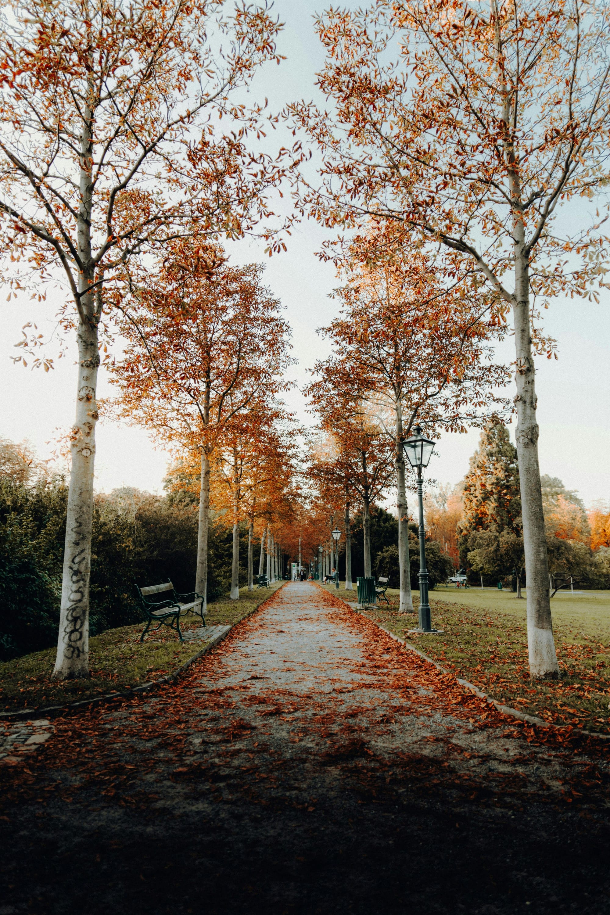 A Parent’s Guide to Paying for College: Coordinating Savings, Scholarships, and Student Loans
