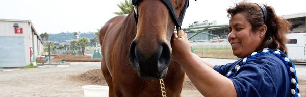 Stable Life: Movie Review
