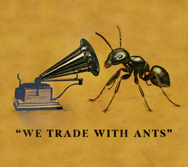 We Trade with Ants: From the Notebook of Anastasia Demoupoulous