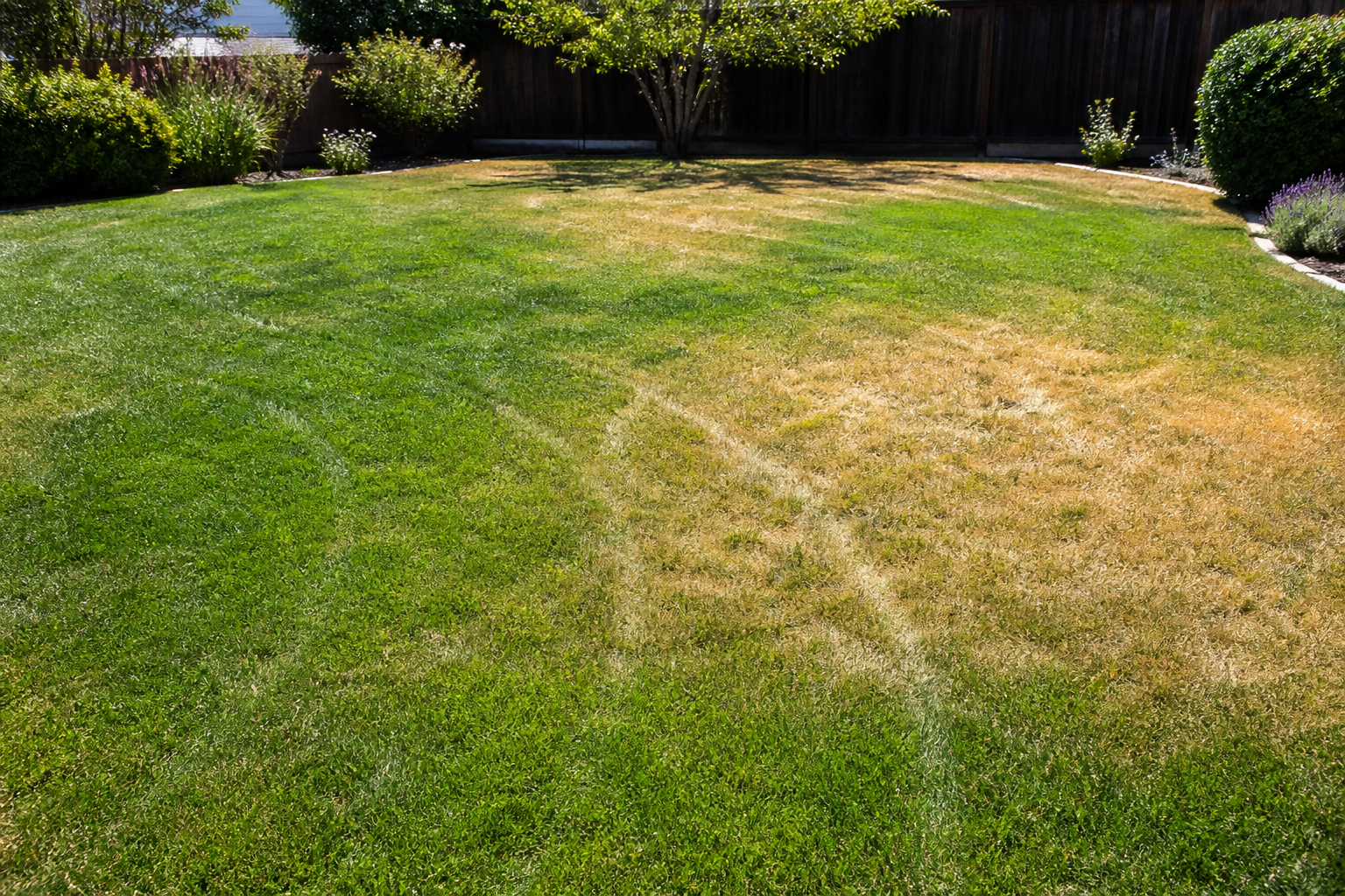 DIY Lawn Irrigation Audit