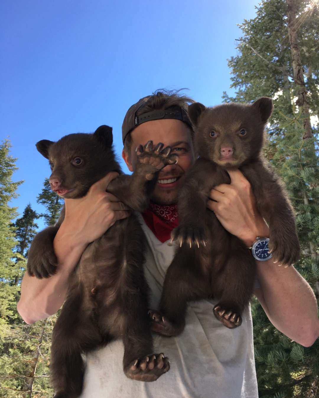 Man holding two baby bear cubs
