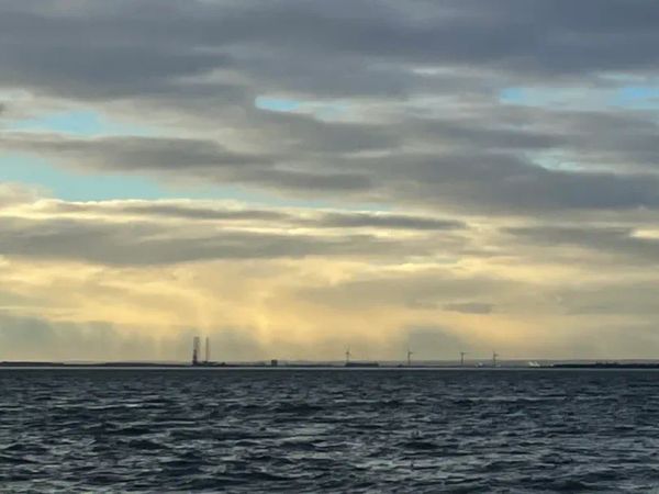 2021ii24, Wednesday: freedom.