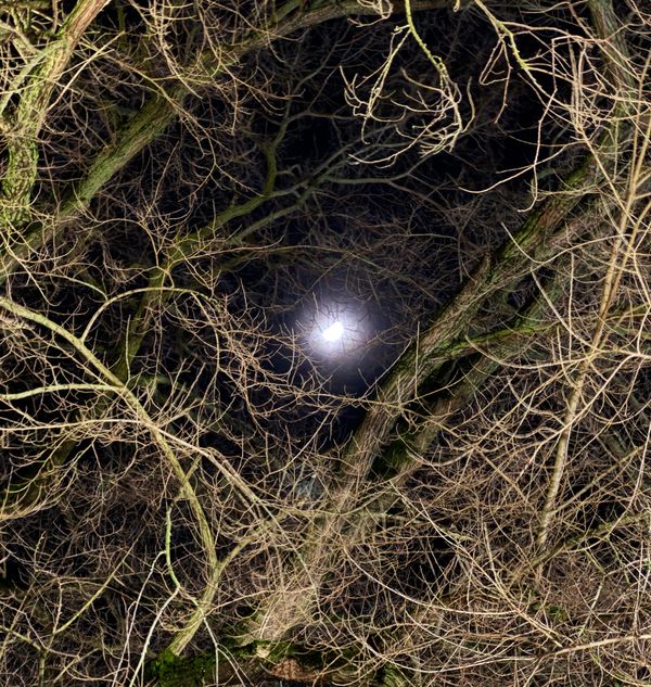 2025iii17, Monday: Outside.