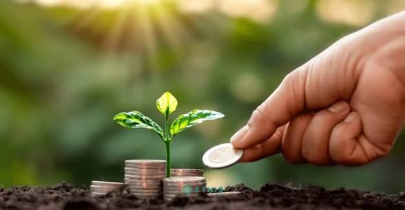 How to Invest with Small