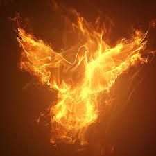 Holy spirit guide us.