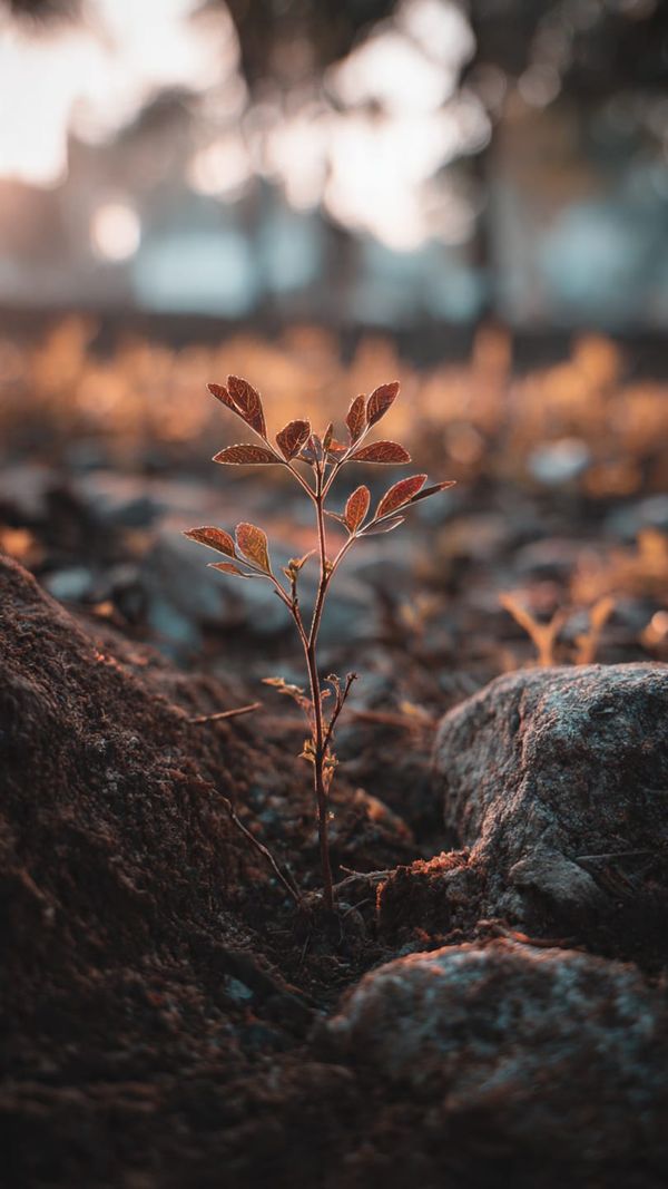 “What you focus on grows"