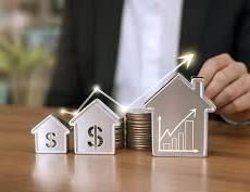 Real Estate Investment and Rental Businesses