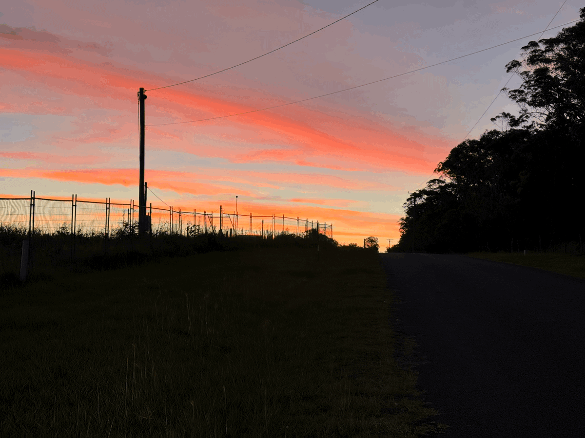 An orange-coloured sky of clouds and deep shadows of tree and shrub silhouettes.