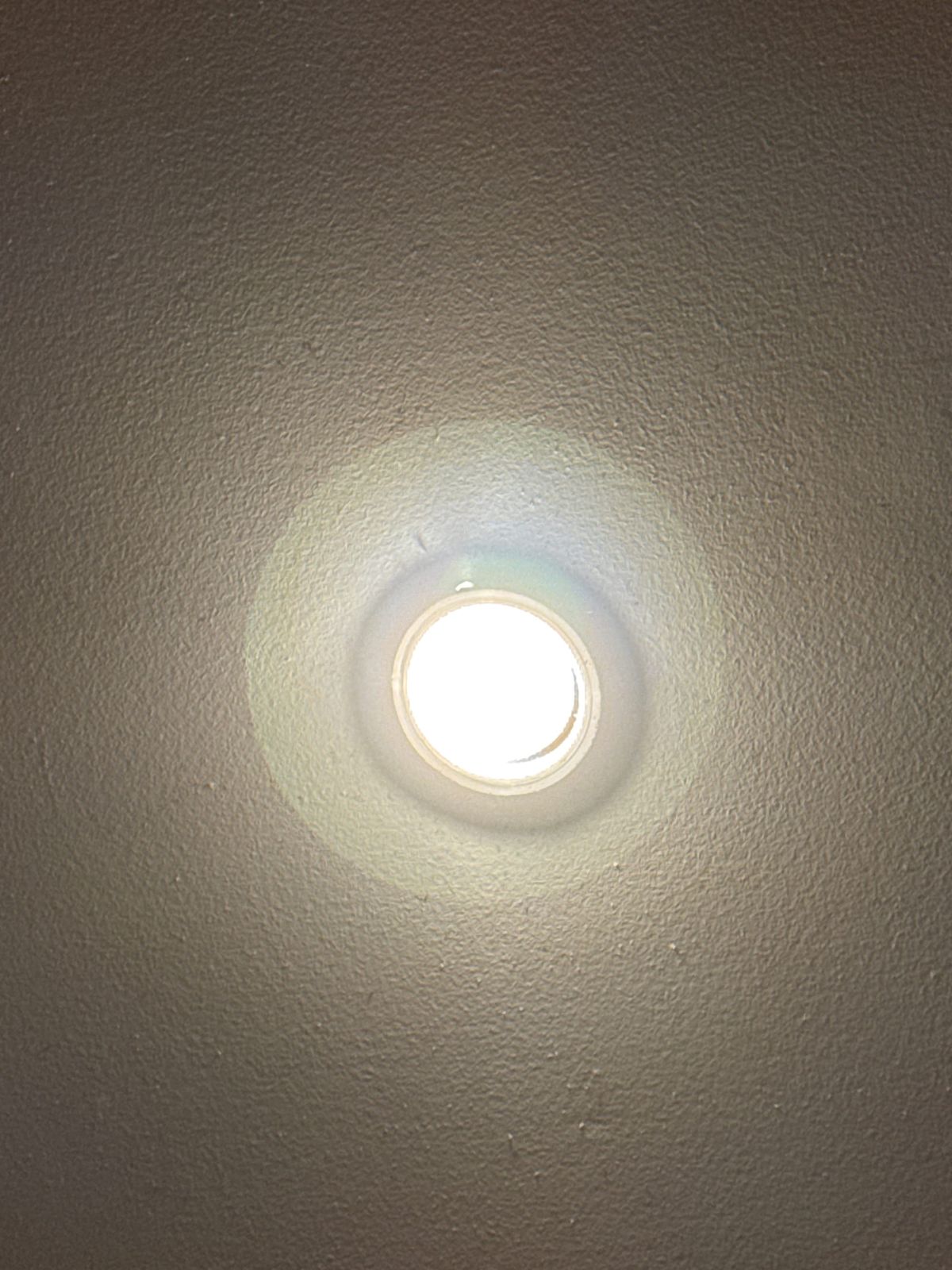 The Kitchen Light