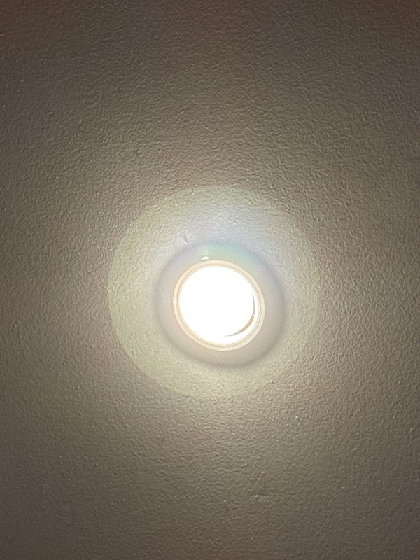 The Kitchen Light