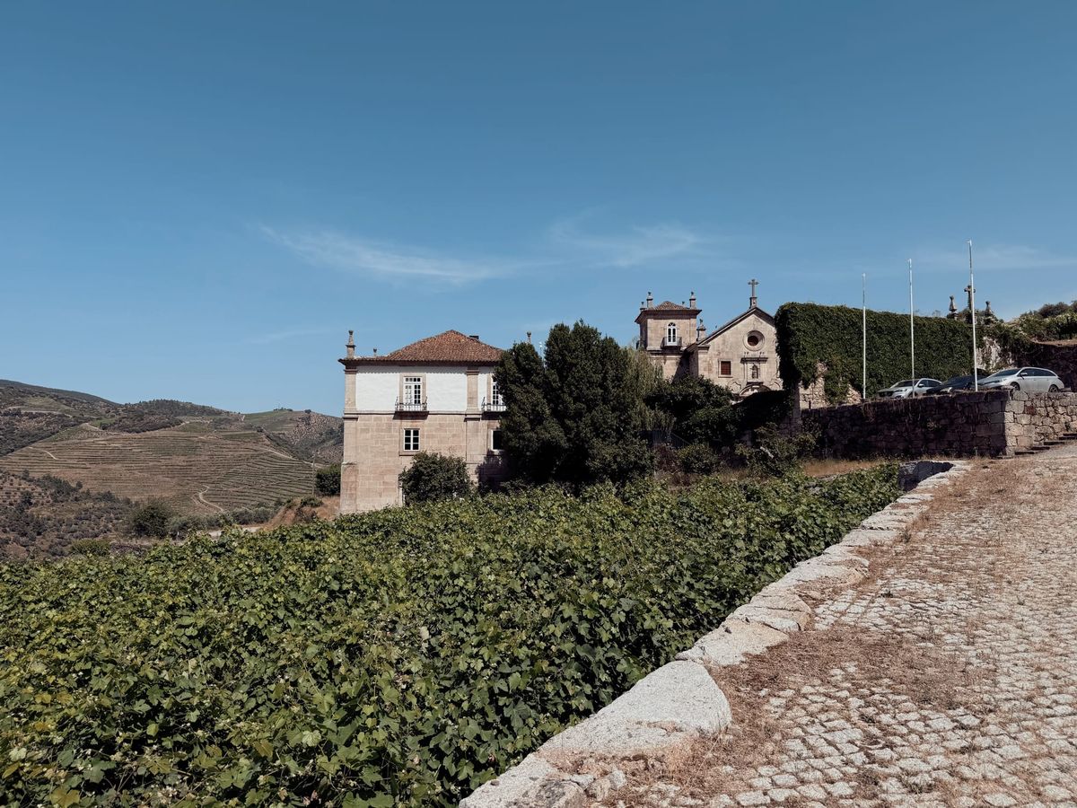 The Vineyard, the Vintner, and the Voice I’d Forgotten Was Mine