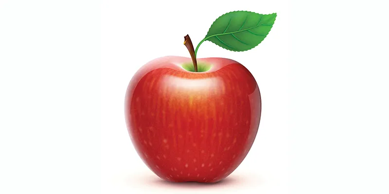 Illustration of apple