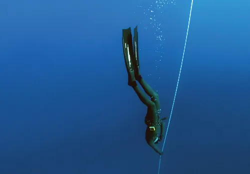 Ocean diver