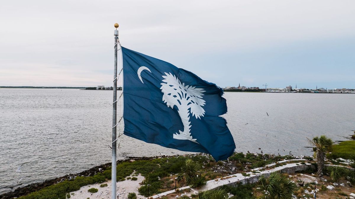 About the Palmetto Signal