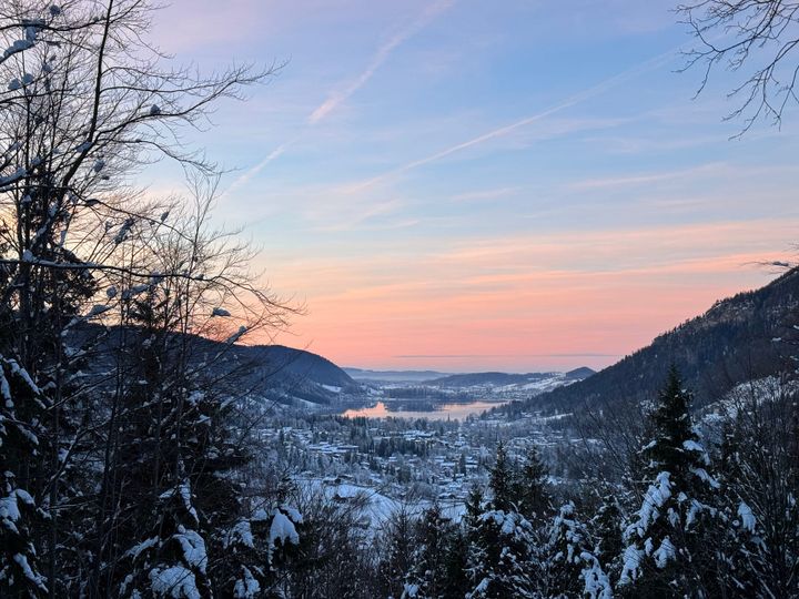 The revival of Blogs? Blogs have never gone away!