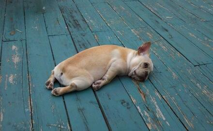 The Struggle Is Real
(and what you can learn from it)