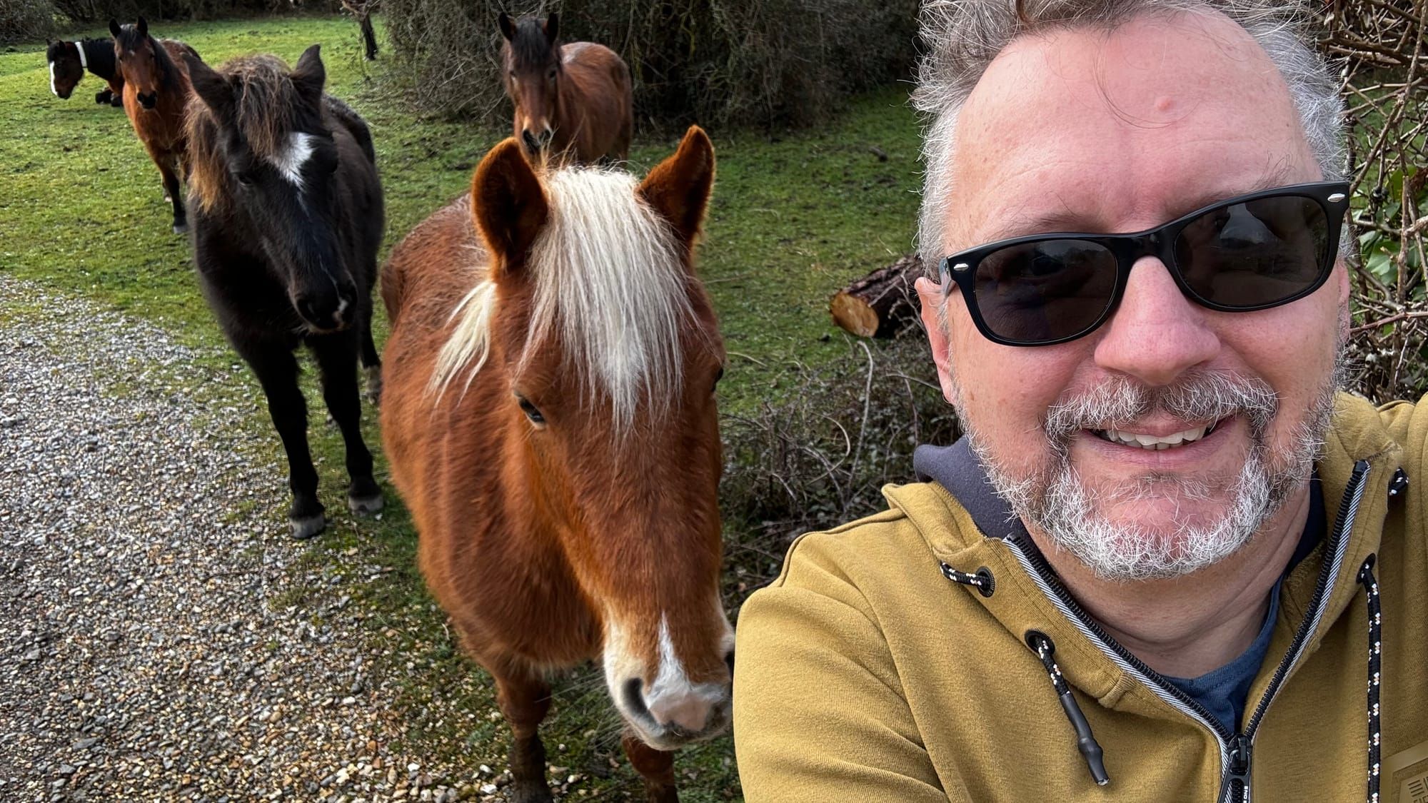 Week 182: In the mud of the New Forest