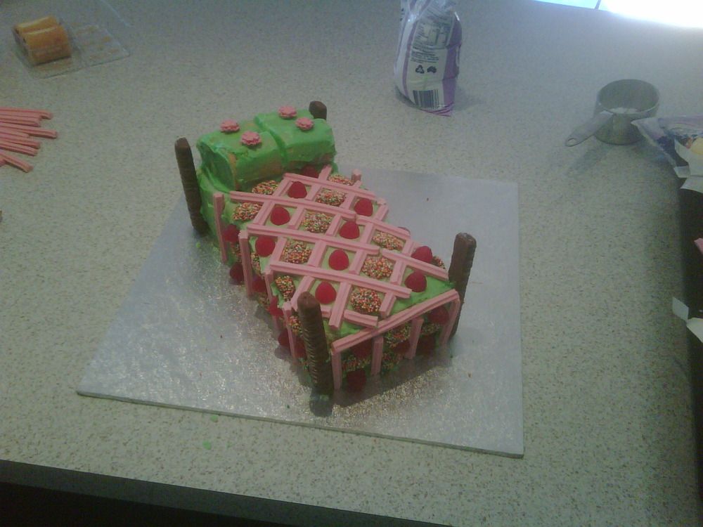 Ella's birthday cake for her sleep over party