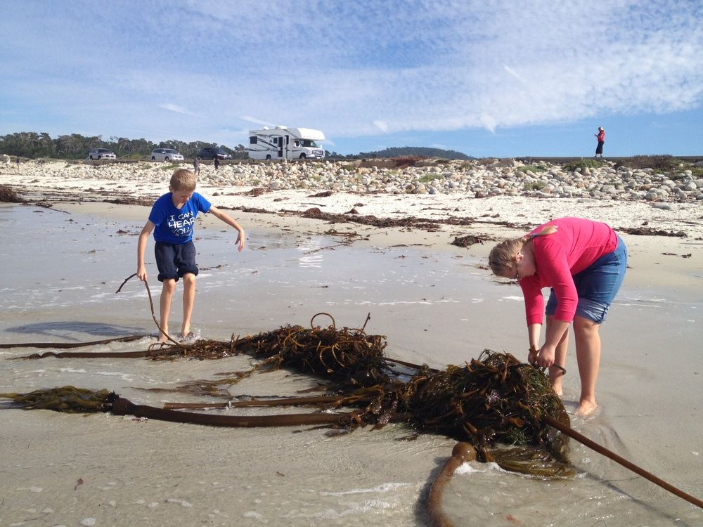 They were whining so we pulled over and let them out for a run