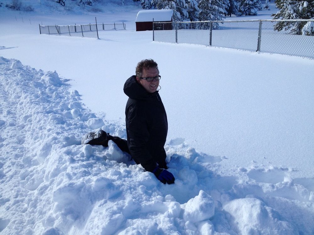 Thigh deep dry fluffy snow