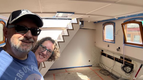 Week 245: Stepping on up