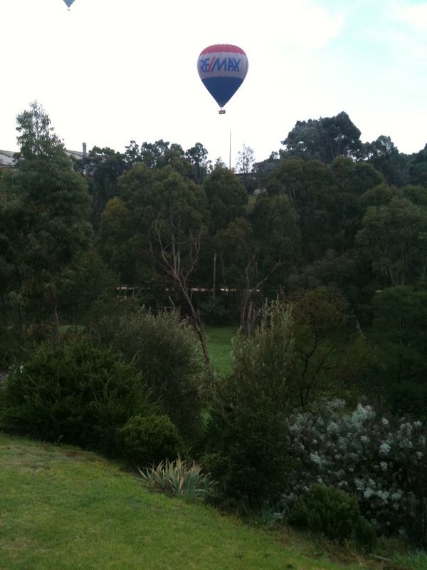 View from our back deck this morning