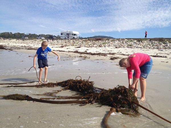 They were whining so we pulled over and let them out for a run