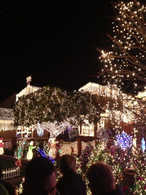 Insane Xmas lights