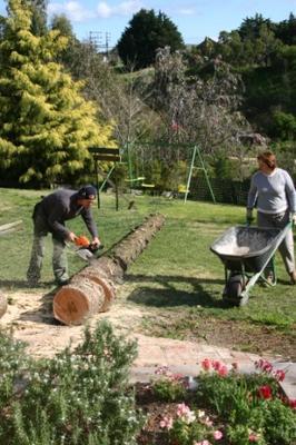 Media_httpphotos1bloggercomblogger73041354400img0241jpg_bunfaxgmdualfhh